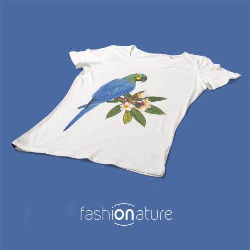 Women's Lears Macaw T-Shirt