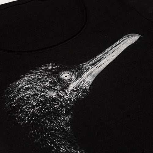 Cormorano