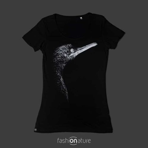 Cormorano
