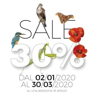 sale 30%