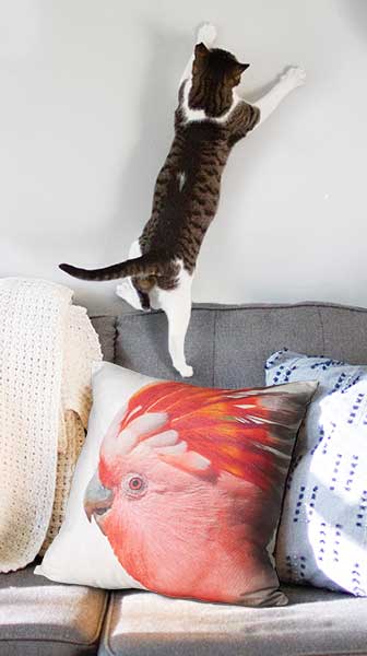 Wallpaper - pillow - carta da parati e cuscini ecosostenibili