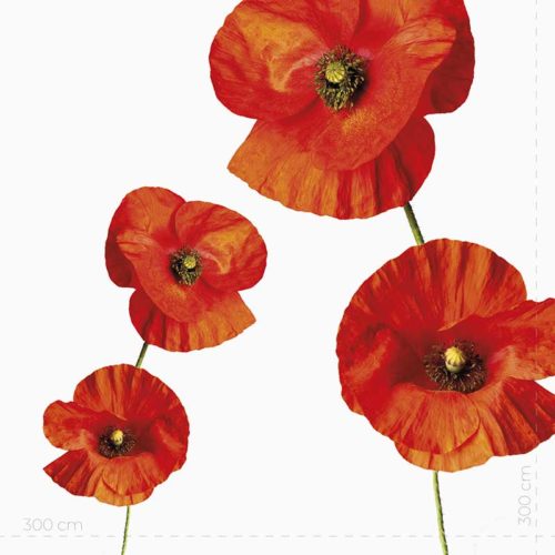 Wallpaper Fashionature natura incontra il glamour con stile, stampate con inchiostri oeko-tex