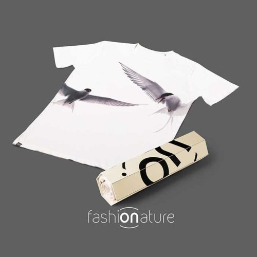 Arctic Tern White T-Shirt