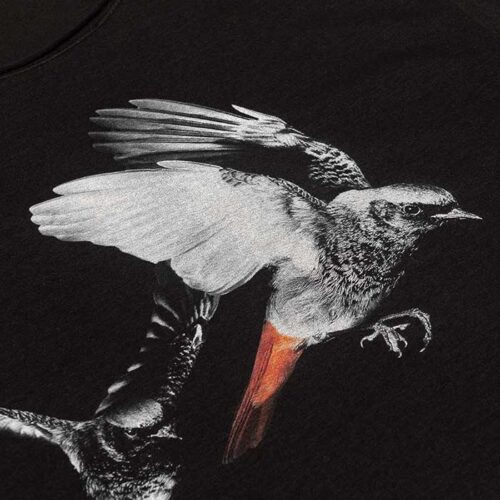 Men’s Black Redstart T-Shirt cotone OEKO-TEX