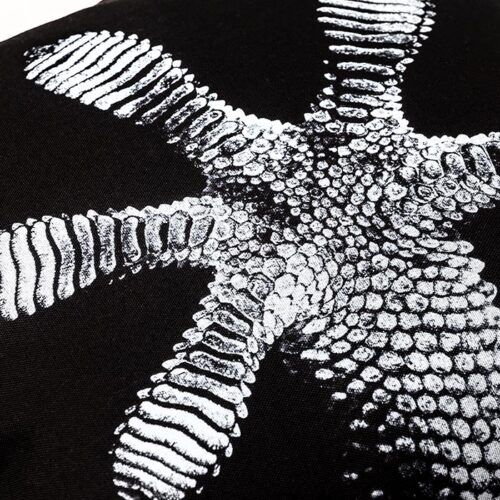 Alternative view of CUSCINO GECKO